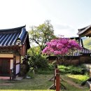 선암사 이미지