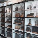 매일회관 이미지