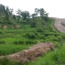 보은 삼년산성 이미지