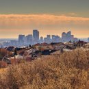 리빙월드 이미지