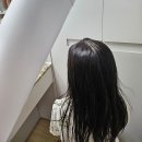 빗자루 같던 극손상모 탈출기, 바디브 미오 모발 헤어트리트먼트 찐 사용 후기
