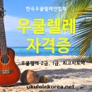 우쿨렐레지도자자격증과정 이미지