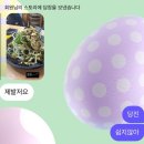 삼당지 | 당찬 당진 일기