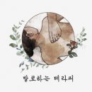 나비잠아로마테라피