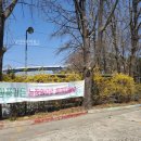 삼풍농장 이미지