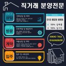 중앙블리체 이미지