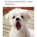 잘자