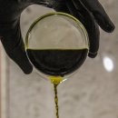 백광화학 이미지