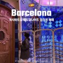 매직골드 | 까사바트요 입장권 내부 카사바트요 매직나이트 골드 티켓 후기