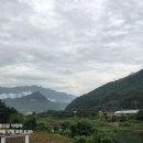 하서2리마을기업 | 나의 산티아고_DMZ평화의 길_19일차 (30-2코스)_우산의 고마움