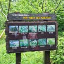 책달샘숲속작은도서관 이미지