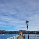 아카로아 이미지