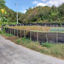 양지바른농장 이미지