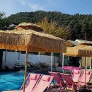 리포레풀램핑 이미지