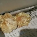 청계마을민박 이미지