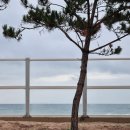 화진해수욕장 이미지