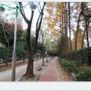 좌4동-13 Daum카페