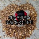 경주 가볼만한곳 11월 불국사 단풍명소 석굴암 까지 다녀온 후기