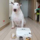 탄앤쿠키 이미지