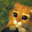 율현태권도장 이미지