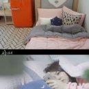 이불스토리