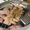 즐거운드라이세상 이미지