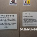 그레이그라운드호텔 네이버블로그