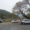 외추마을회관 이미지