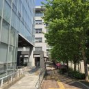 한세대학교 대학원 | 한세대학교 학부과정 강의 후기: 콘텐츠 포맷과 형식 선택, 실전 중심으로 배우는 이정수 교수의 수업