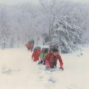 태백산맥 이미지