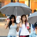 씨스타 카카오 검색결과