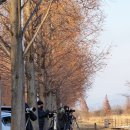 맥도 | 겨울 철새를 가깝게 볼 수 있는 맥도생태공원