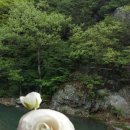 연담마을 이미지