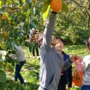 가정농촌체험휴양마을 이미지