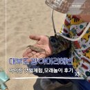가볼만한곳 모래놀이,갯벌체험 가능한 방아머리해변 다녀온후기 (6월물때표 ,주차 ,파라솔 대여 총정리)