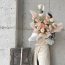 꼬모플레리 이미지