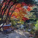 울산광역시청