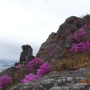 기아오토큐 장평점 이미지