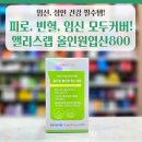 거북시장약국 | 피로·빈혈·임신 모두 커버! 앨리스랩 올인원엽산800 효과와 실제 후기💚