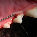 메이 동물병원 이미지