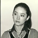 동방불패 - 장흥군 | 동방불패
