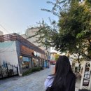 수수한 家 이미지