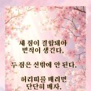 조양경로당 Daum카페