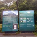 오가네민박 | [제주여행기]3탄-함덕해수욕장/델문도카페/김녕해수욕장/월정리해수욕장/종달리 해안도로