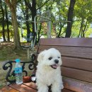 독립-16-05 이미지