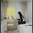 스테이청춘 이미지