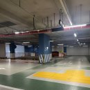 더 올 요가 이미지