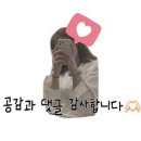 플러스후노원의원 이미지