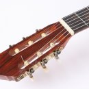 클래식기타(야) 이미지