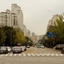 분당-139 이미지